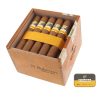Cohiba robustos CK 25