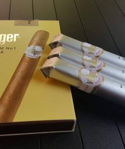xA gA villiger no 1 Aiau to nhat
